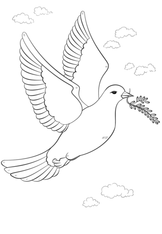 Peace Dove With Olive Branch Coloring Page